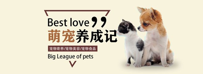 风骚律师热搜